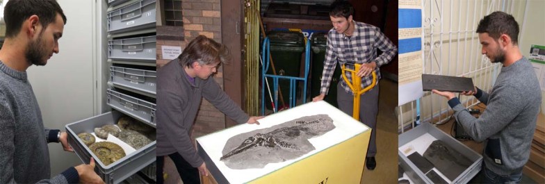 Dean Lomax Doncaster Museum and Art Gallery ammonites ichthyosaur Nigel Larkin Devonian fish